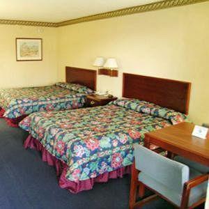 Regency Inn & Suites - Saint Augustine St. Augustine Beach Room photo